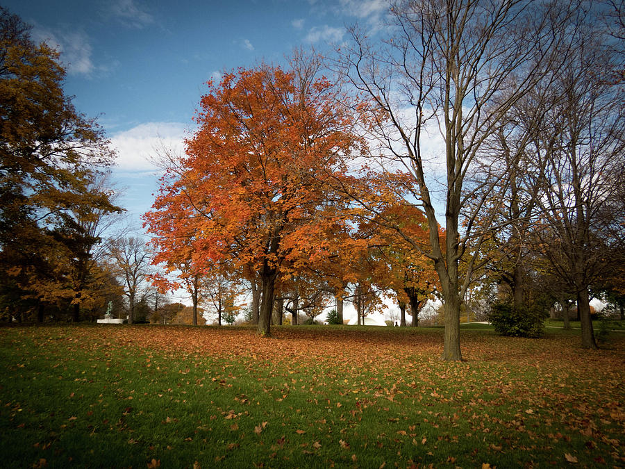 Autumn Bliss Photograph by Kimberly Mackowski