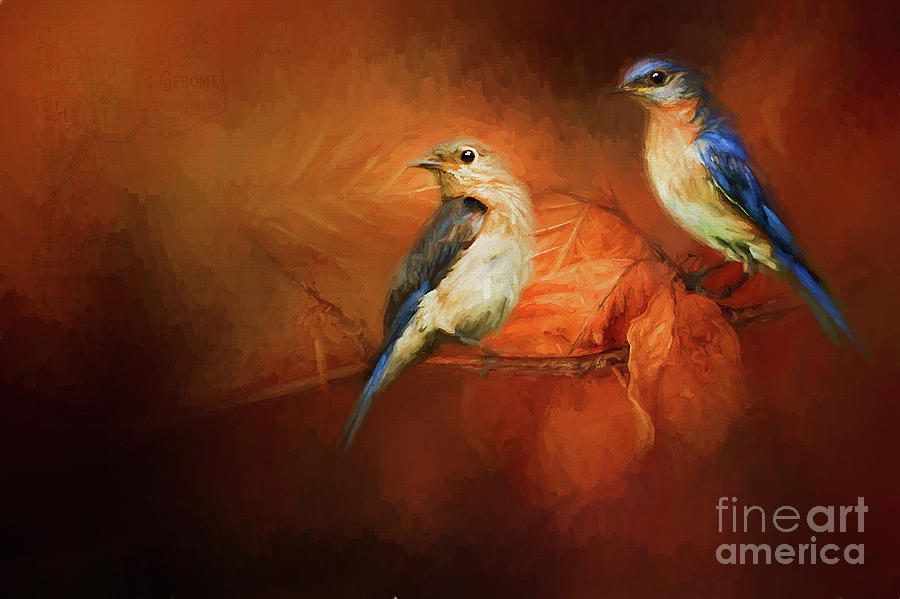 Autumn Blue Birds Photograph by Darren Fisher