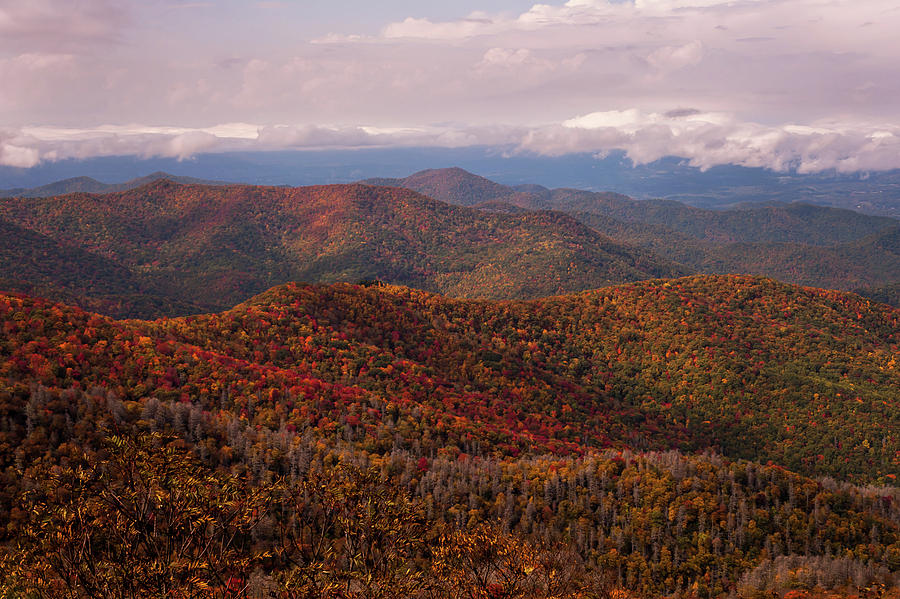 Autumn Blue Ridge Parkway North Carolina   Photograph by Terry DeLuco