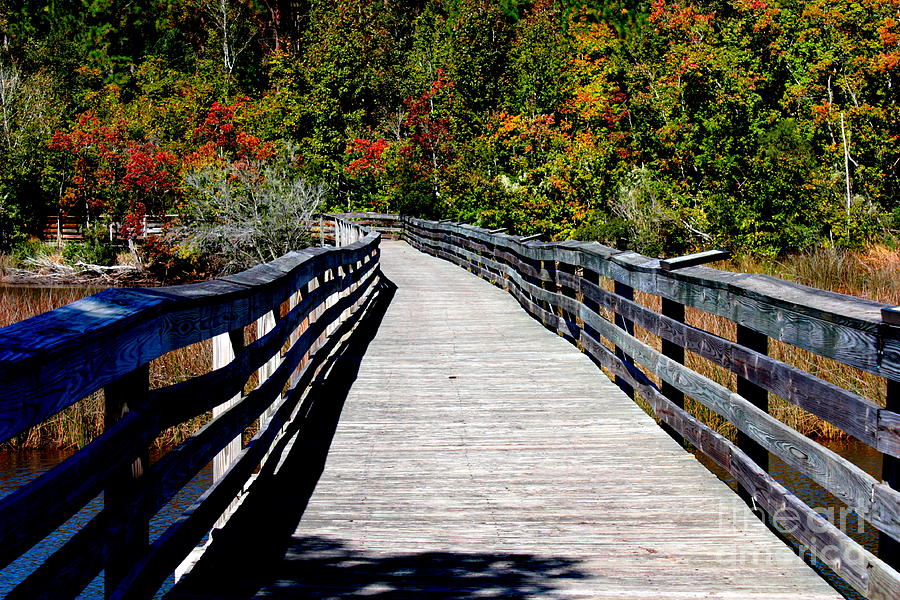 Autumn Boardwalk Photograph by Carol Groenen
