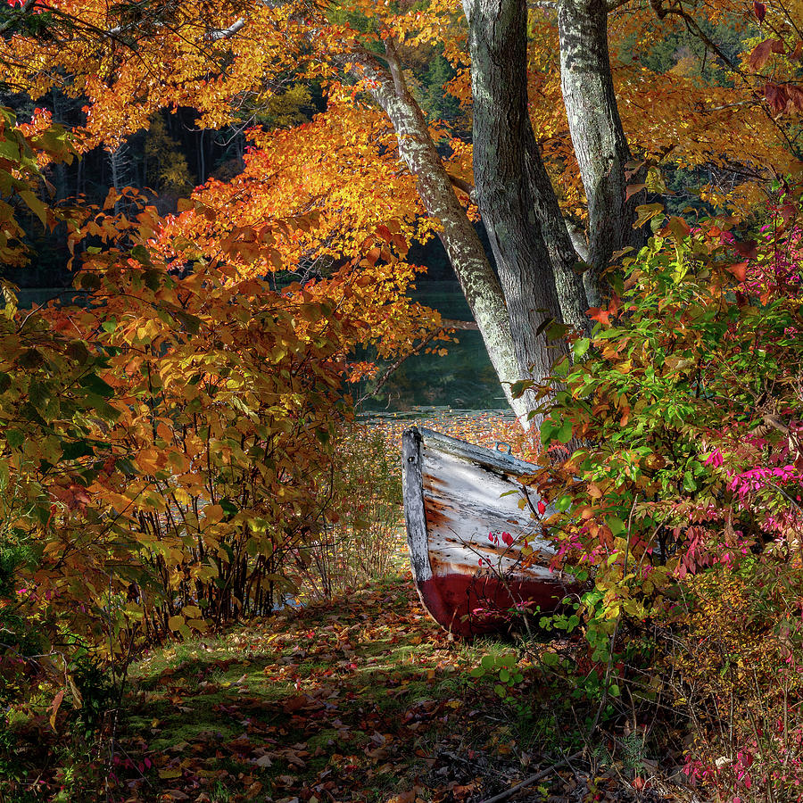 Autumn Boat Photograph by Bill Wakeley