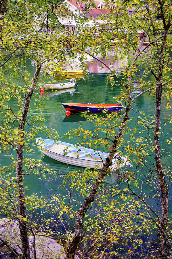 Autumn. Boats Photograph by Dmytro Korol