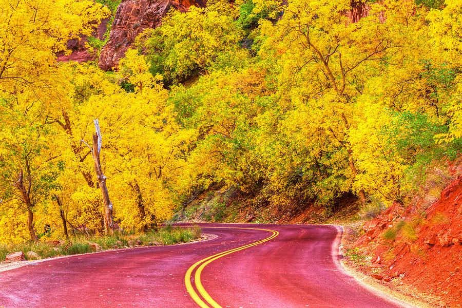 Autumn Boulevard Photograph by James Marvin Phelps - Pixels