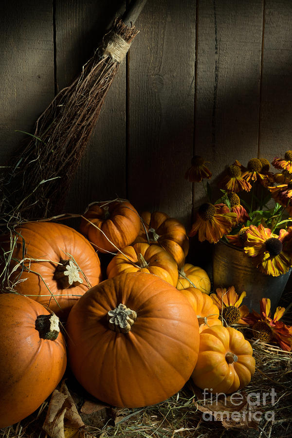 Pumpkin Photograph - Autumn Bounty by Ann Garrett
