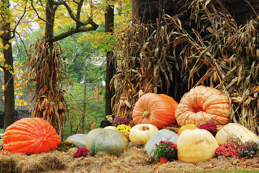 Autumn Bounty Photograph by James Kirkikis