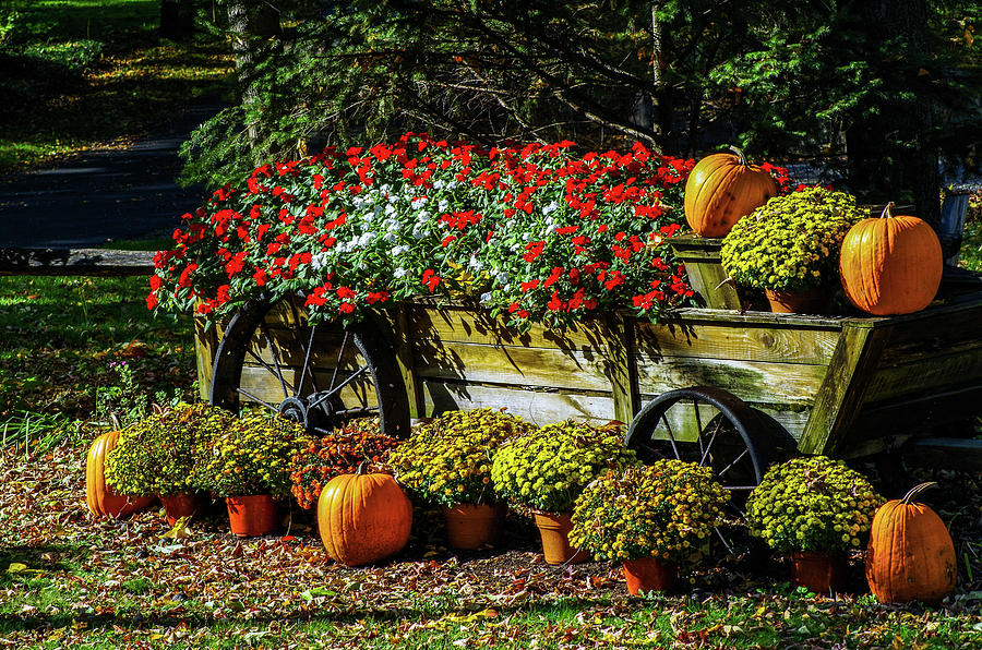 Autumn Bounty Photograph by Mary Courtney