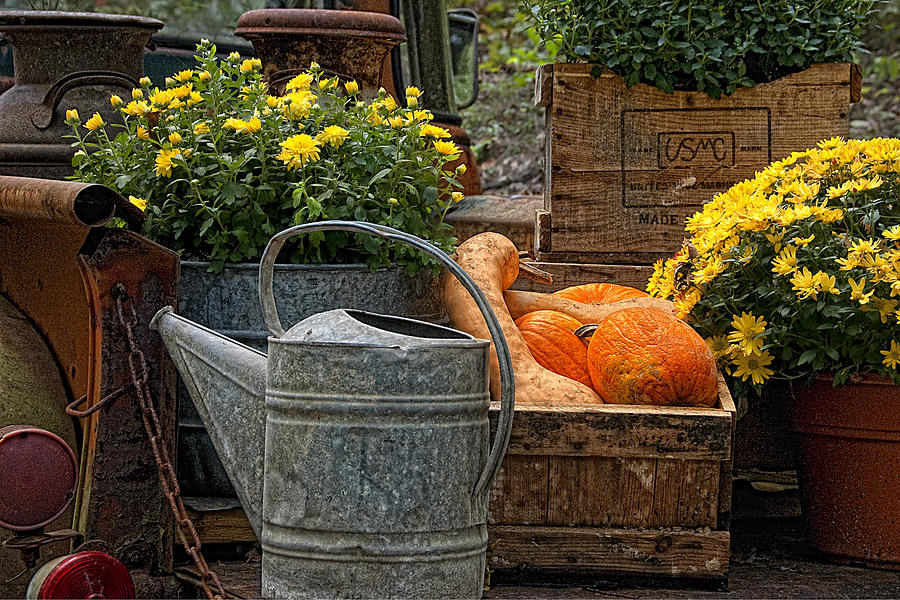 Autumn Bounty Photograph by Mitch Spence