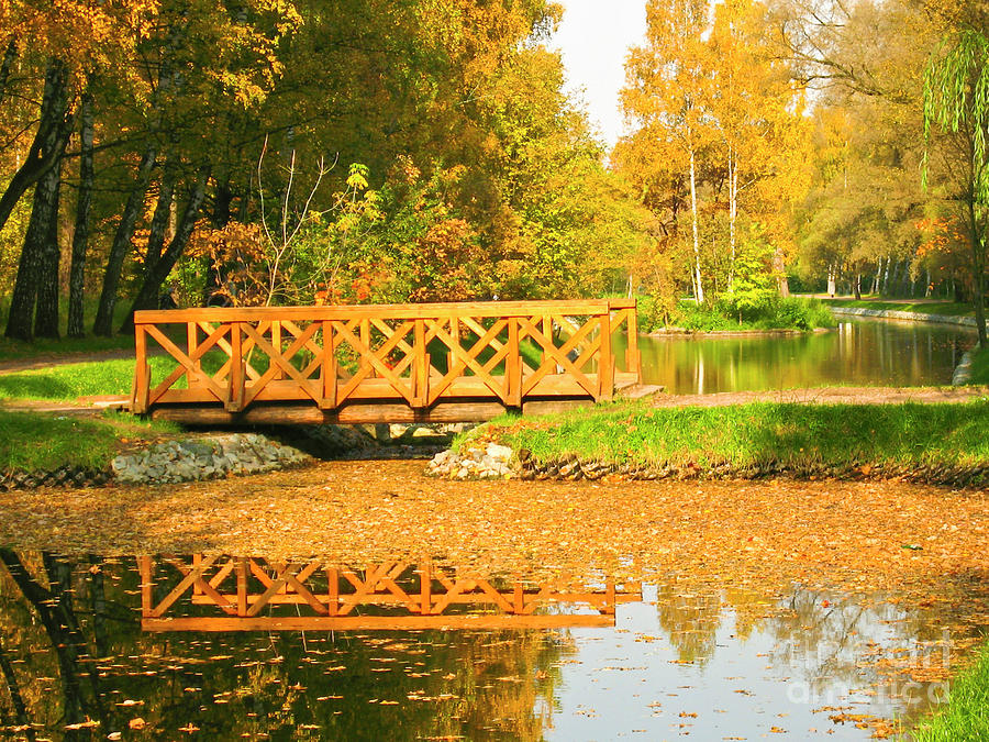 Autumn, bridge in park Photograph by Irina Afonskaya