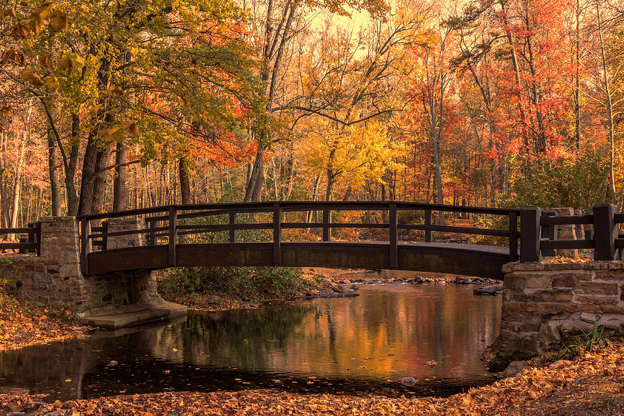 Autumn Bridge Photograph By Judy Witter