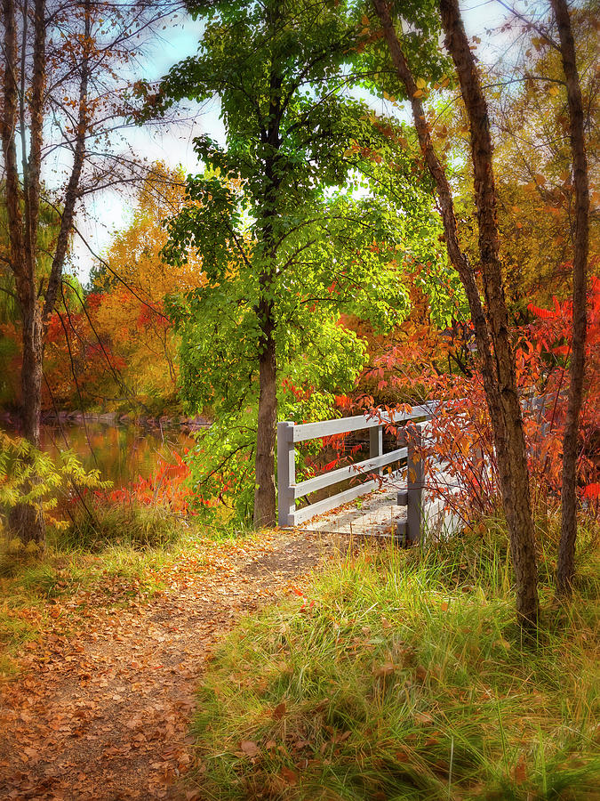 Autumn Bridge Photograph by Mark Mille