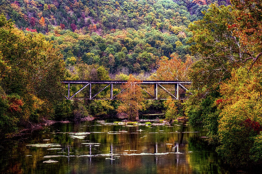 Fall Photograph - Autumn bridge by Ronda Ryan