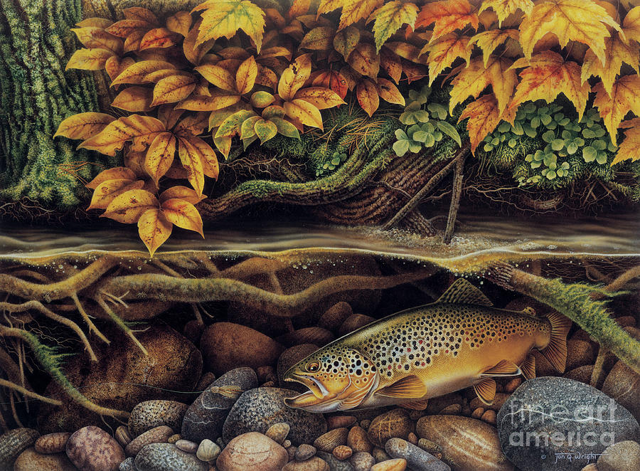 Bass Painting - Autumn Brown Trout by Jon Wright