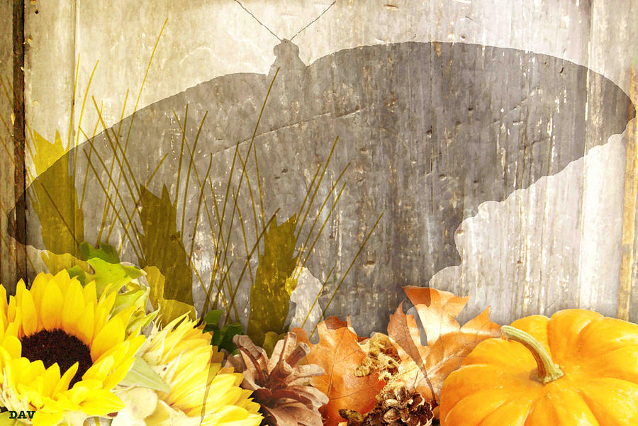 Autumn Butterfly Shadows Photograph by Debra     Vatalaro