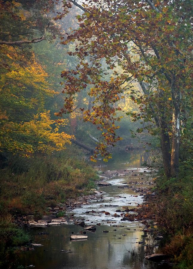 Autumn by the Creek Photograph by Elsa Santoro