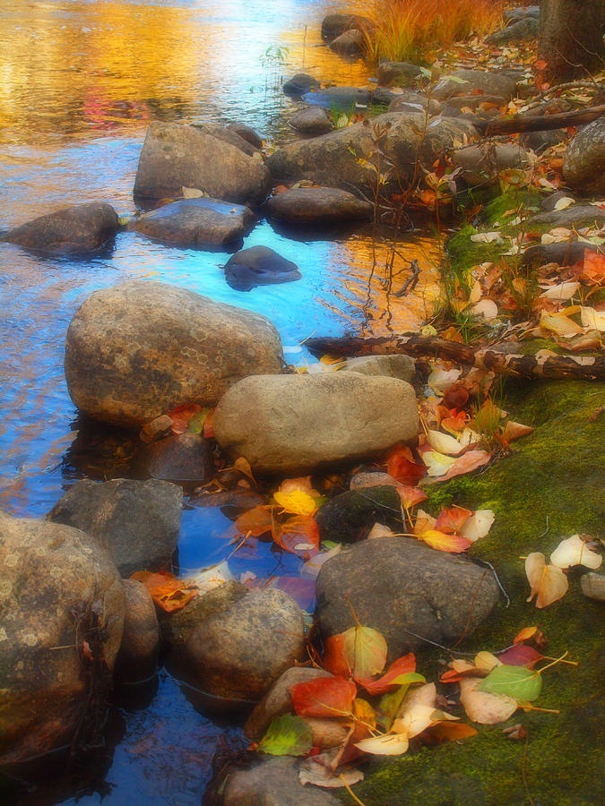 Autumn Photograph - Autumn By The Creek by Tara Turner Autumn Photograph - Autumn By The Creek by Tara Turner