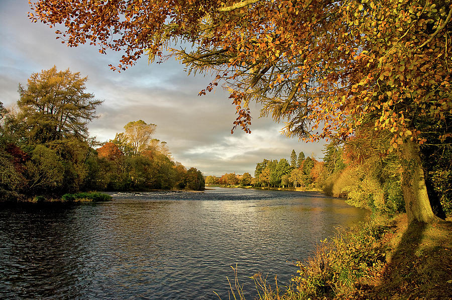 Fall Photograph - Autumn by the River Ness by Jacqi Elmslie