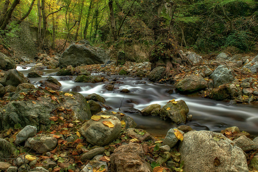 Fall Photograph - Autumn by the river by Plamen Petkov