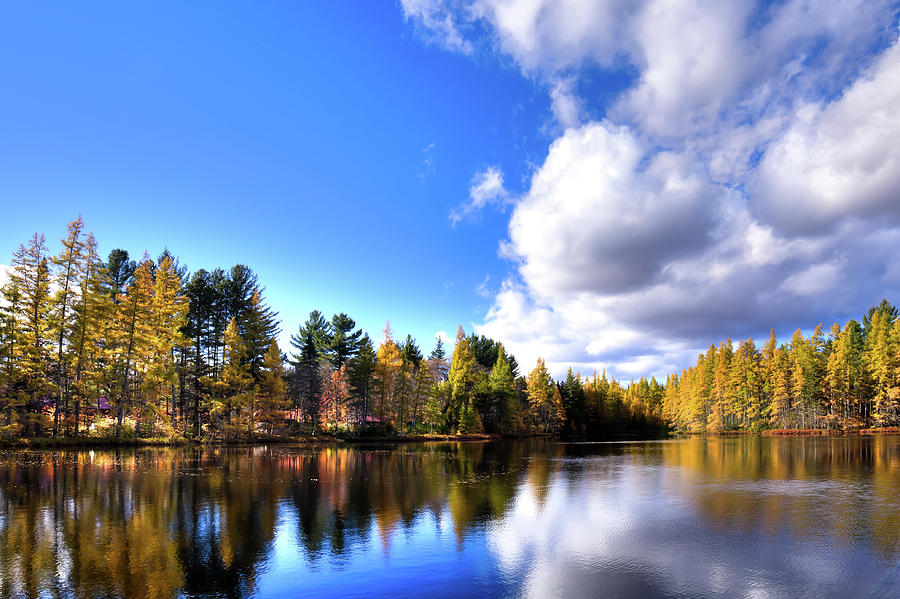 Nature Photograph - Autumn Calm at Woodcraft Camp by David Patterson