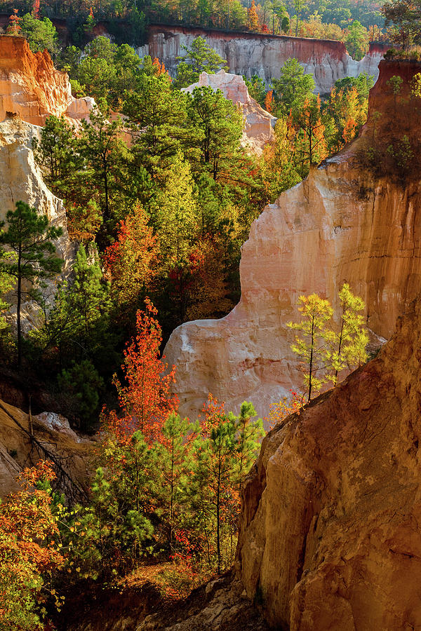 Autumn Canyon Layers Photograph by Eric Albright
