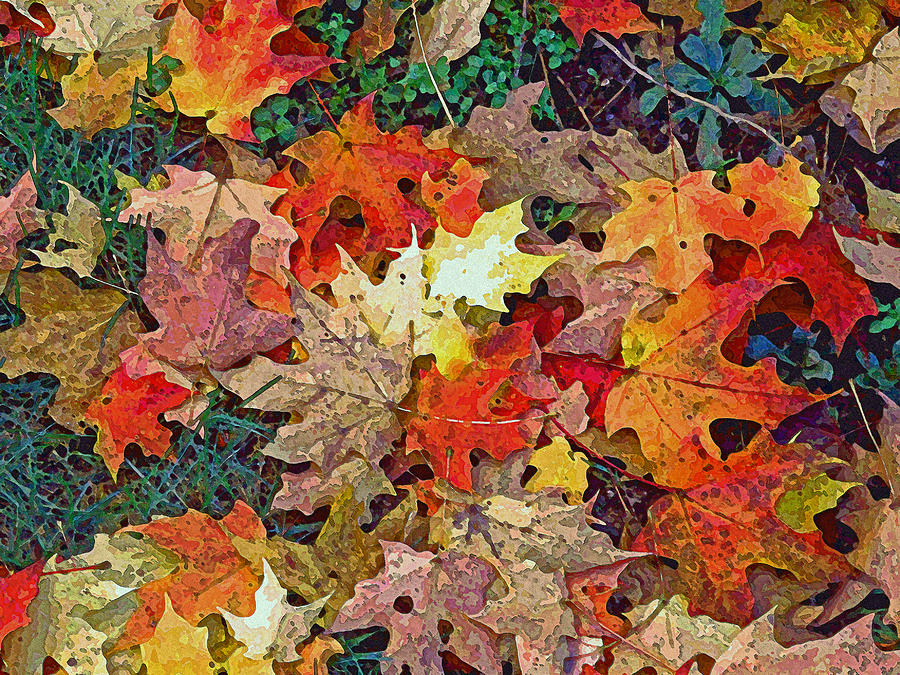 Tree Photograph - Autumn Carpet by Jean Hall
