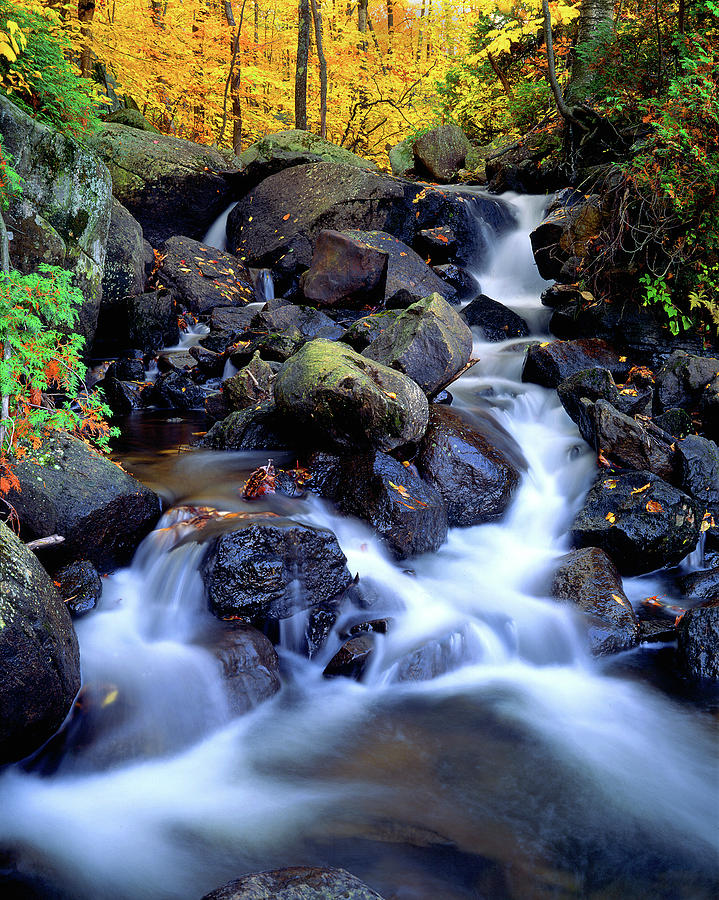 Autumn Cascade Photograph by Frank Houck