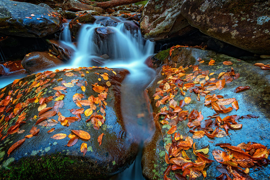Nature Photograph - Autumn Cascade In The Smokies by Rick Berk