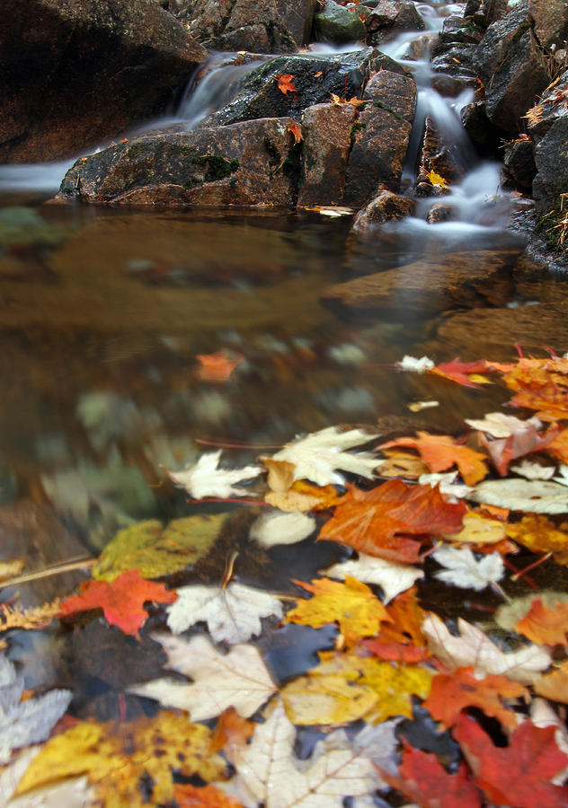 Autumn Cascade Photograph by Juergen Roth