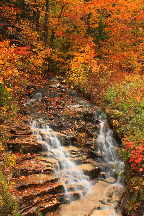 Autumn Cascade Kancamagus Highway Photograph by John Burk