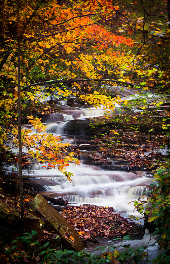 Autumn Cascade  Photograph by Parker Cunningham