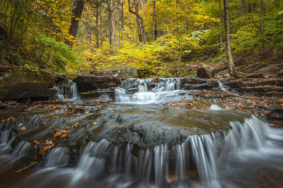 Autumn Cascade II Photograph by Xavier Ascanio - Fine Art America