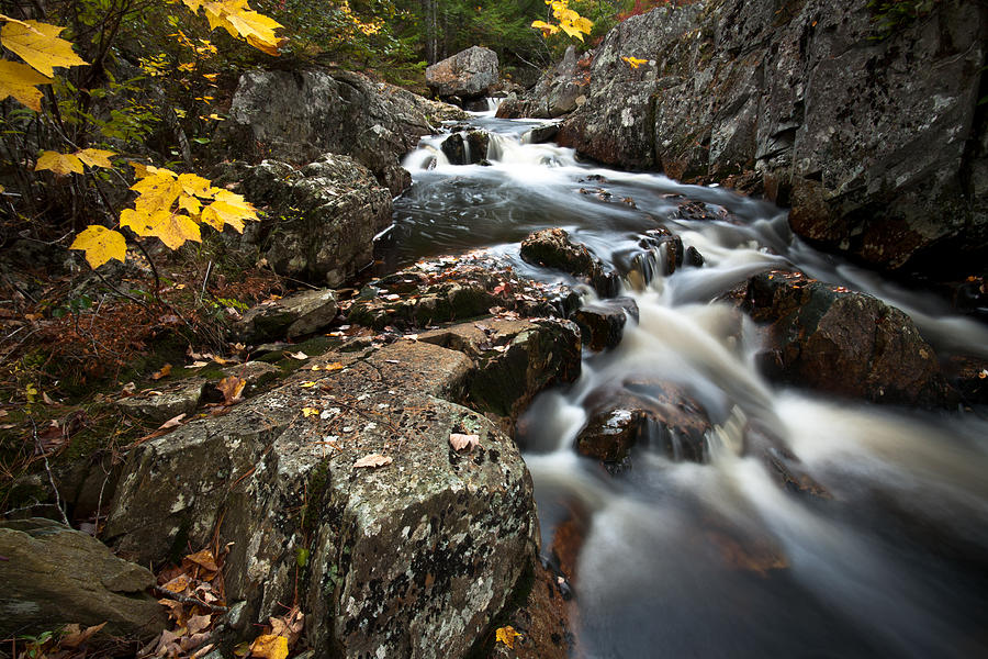 Autumn Cascades Photograph by Irwin Barrett