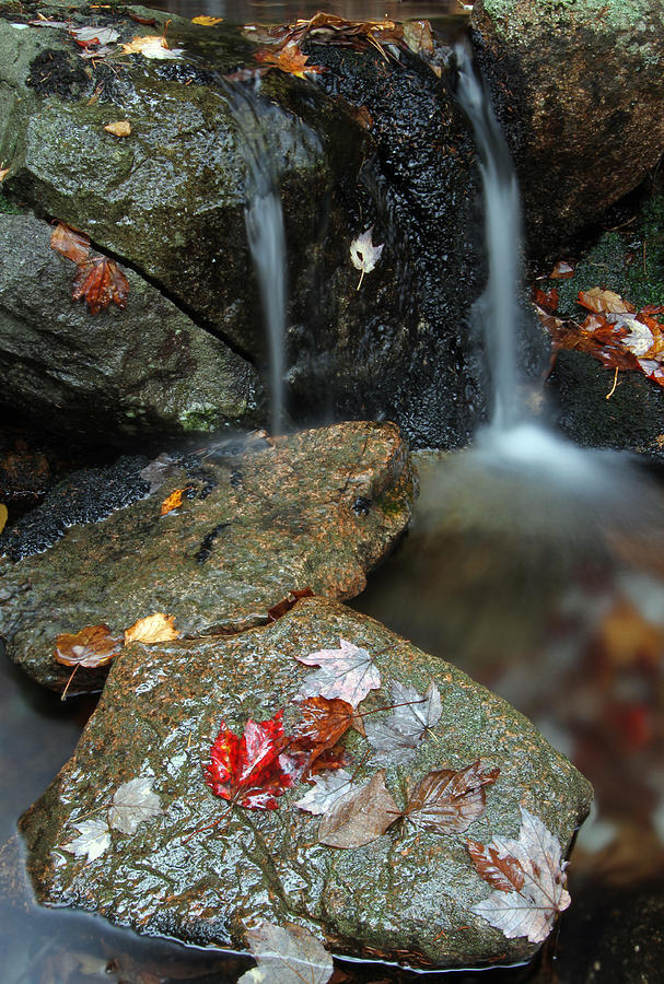 Autumn Cascades Photograph by Juergen Roth