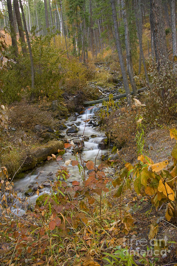 Autumn Cascades Photograph by Idaho Scenic Images Linda Lantzy
