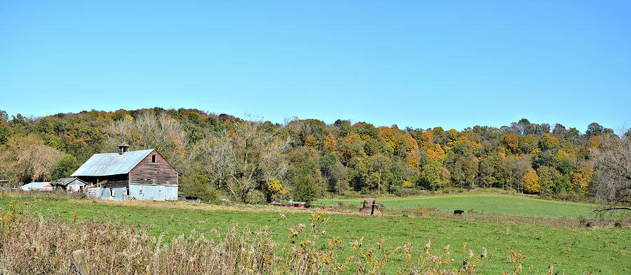 Autumn Cattle Ranch Photograph by Bonfire Photography