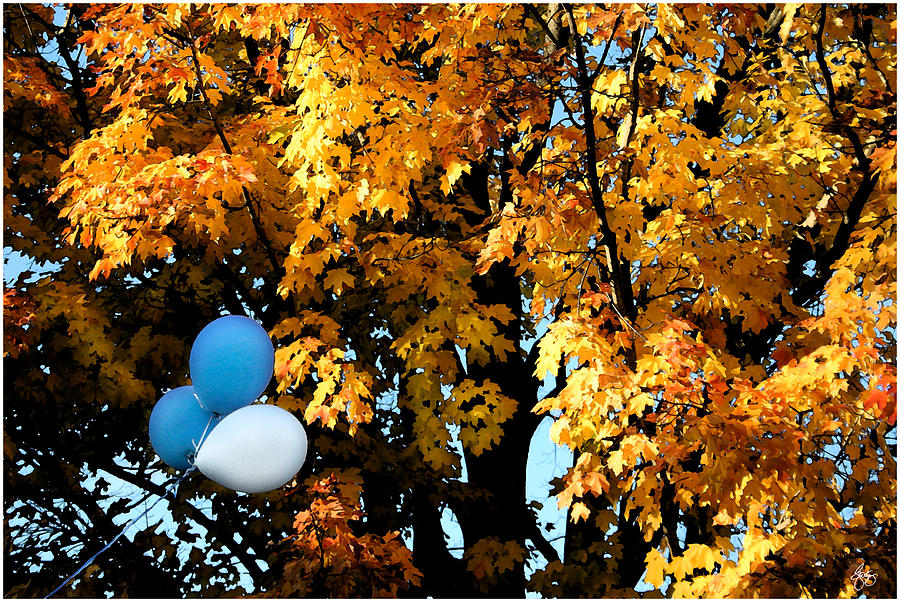 Autumn Celebration Photograph by Wayne King