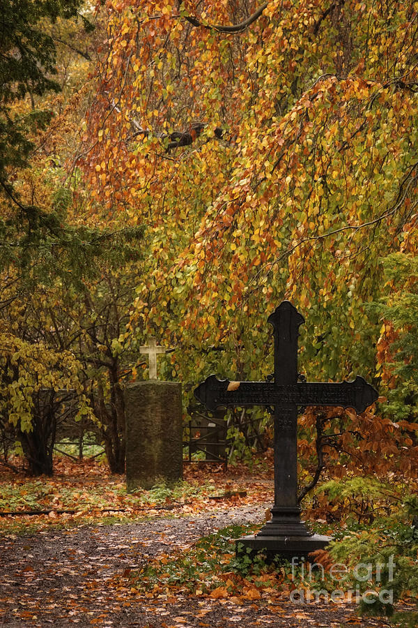 Autumn Cemetary Photograph by Inge Riis McDonald