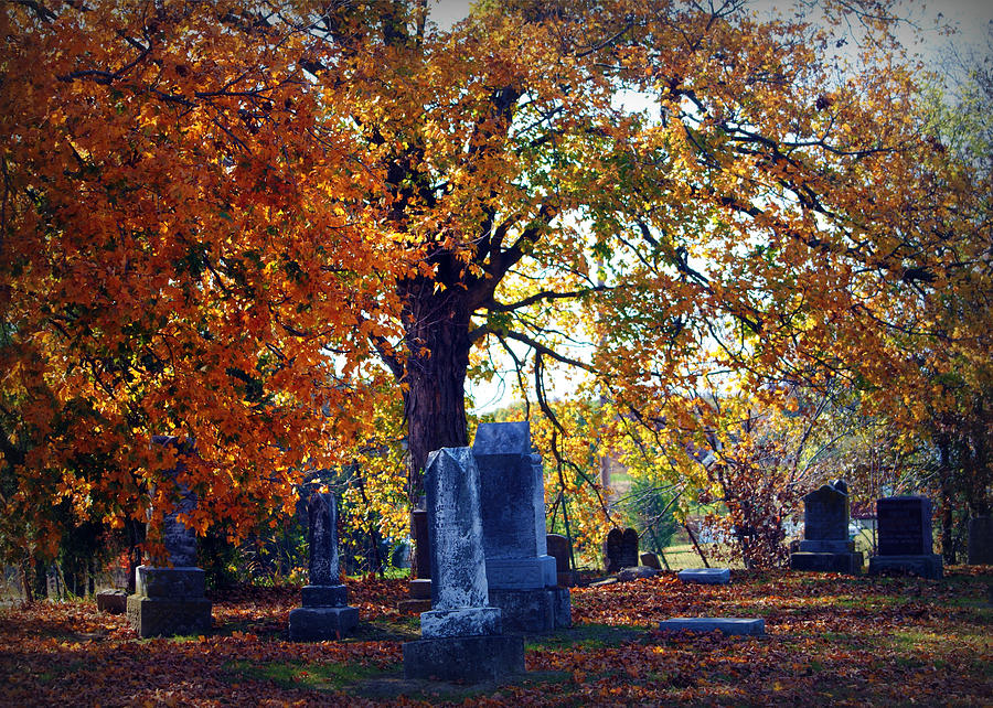Fall Photograph - Autumn Cemetery by Cricket Hackmann