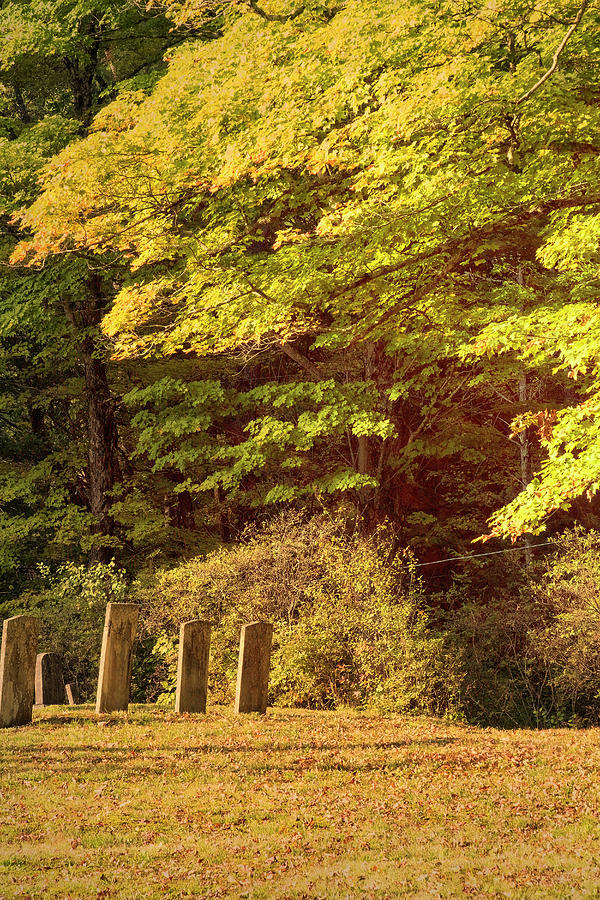 Autumn Cemetery Photograph by Tom Singleton