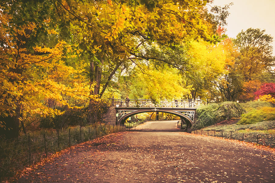 Autumn - Central Park Bridge - New York City Photograph by Vivienne Gucwa