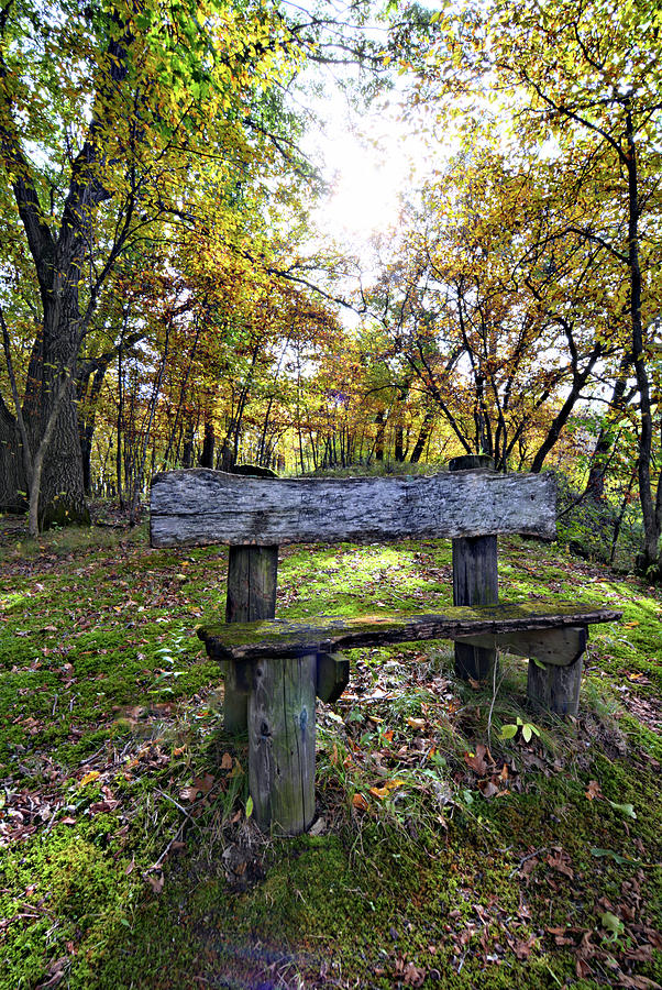 Autumn Chair 2 Photograph by Bonfire Photography