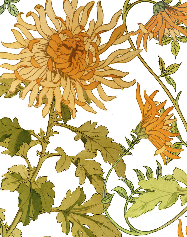 Chrysanthemum Painting - Autumn Chrysanthemums I by Mindy Sommers