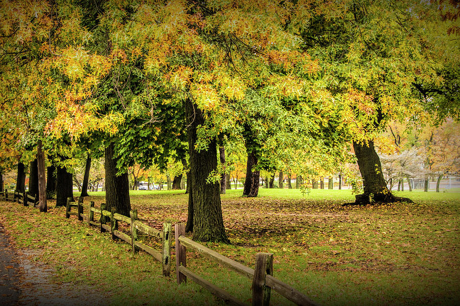 Autumn City Park Scene with Wood Fence Photograph by Randall Nyhof