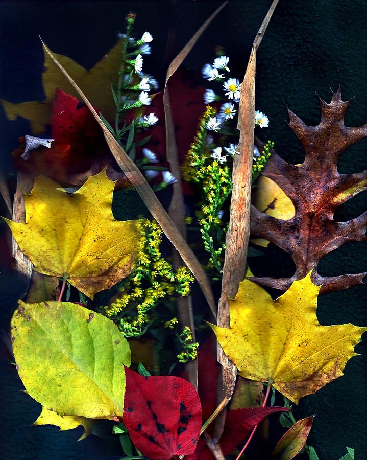 Fall Photograph - NH Autumn Collage by Anne Sands