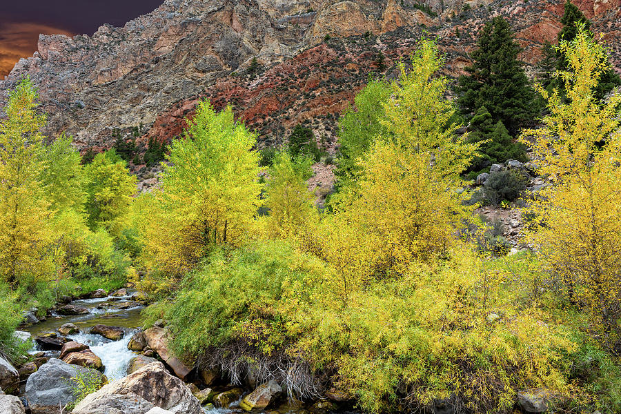 Autumn Color along Sheep Creek Photograph by Kathleen Bishop