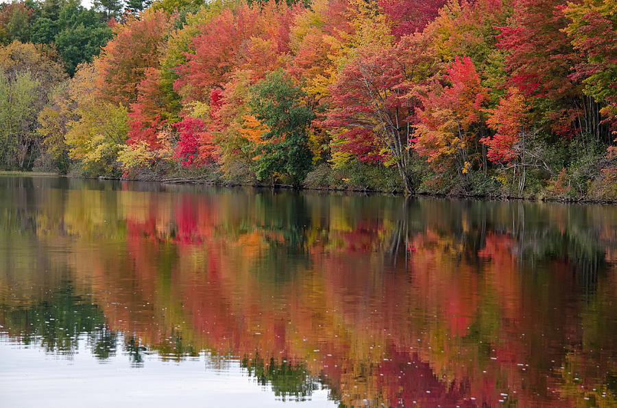 Autumn color Androscoggin river. Photograph by Floyd Aldrich - Fine Art ...