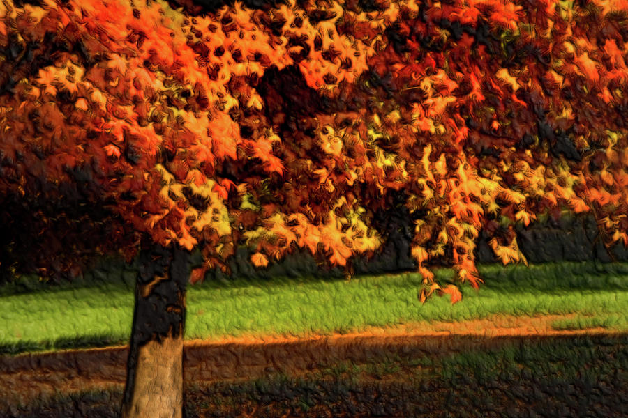 Autumn Color-Artistic Photograph by Don Johnson