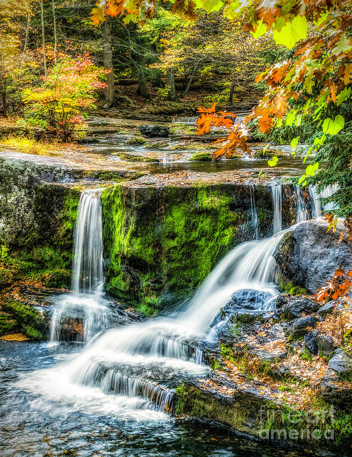 Autumn Color at Factory Falls Photograph by Nick Zelinsky Jr