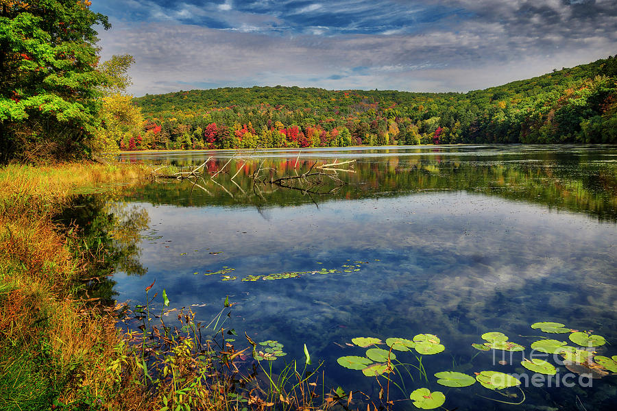 Autumn Color At Harris Pond, 2016.10.16 Photograph