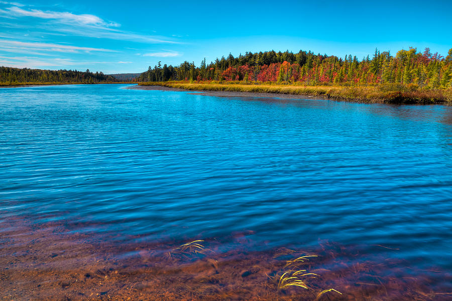 Fall Photograph - Autumn Color at Raquette Lake by David Patterson