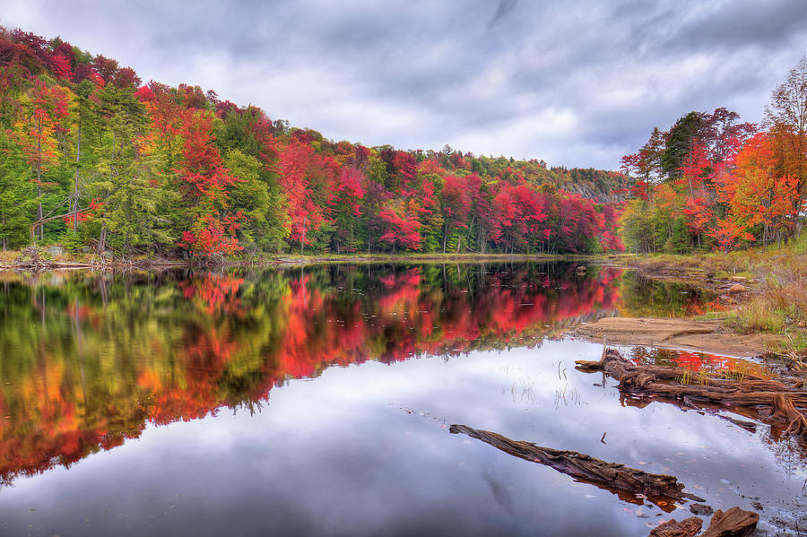 Autumn Color at the Pond Photograph by David Patterson